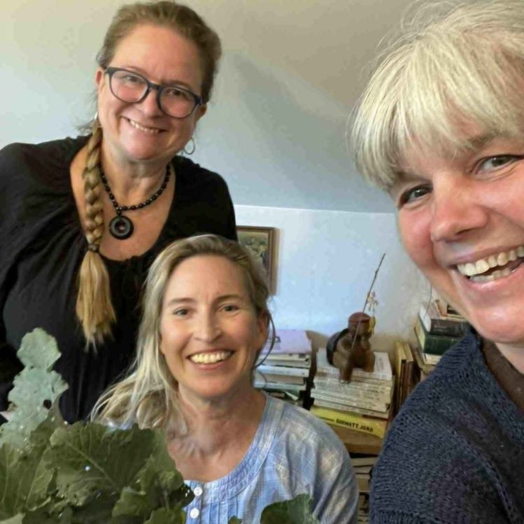 cover art for  9.   Nya sätt att odla -  Sara Thorsaeus 