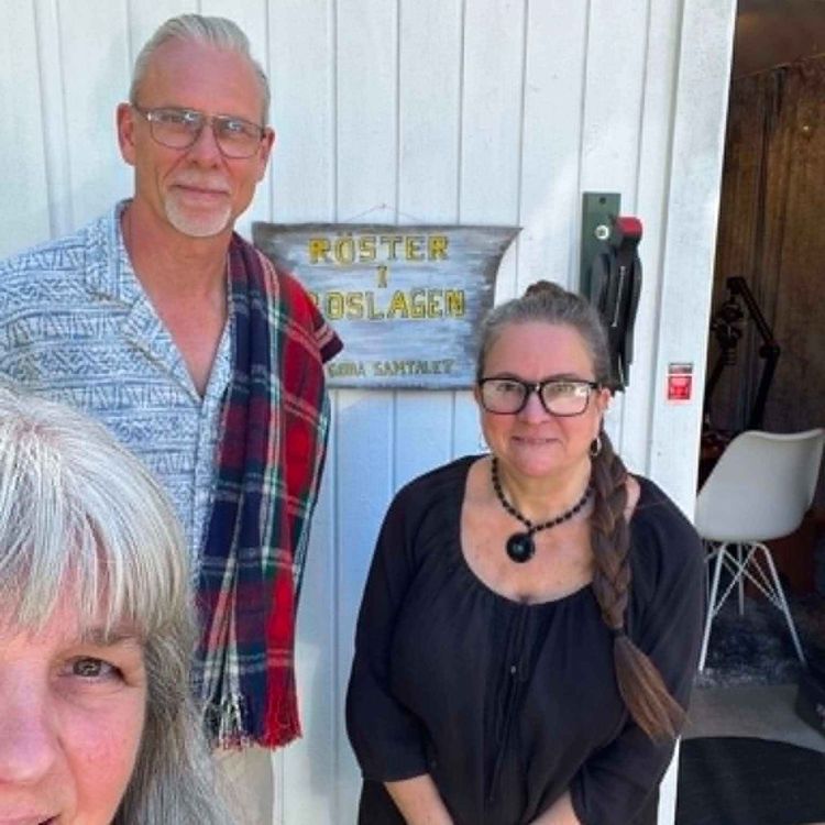 cover art for 60. Polisen Björn Cewenhielm