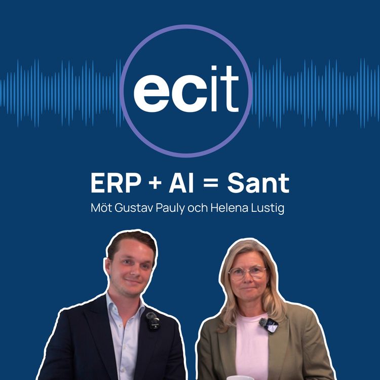 cover art for ERP + AI = Sant 