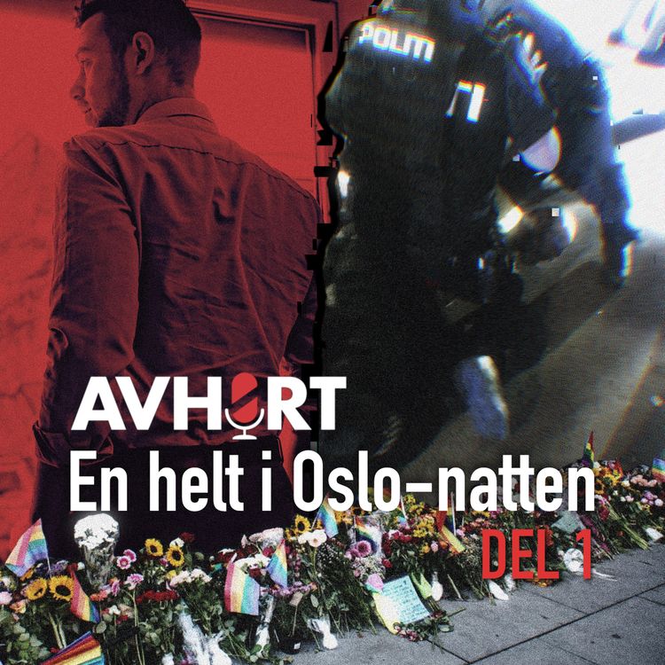cover art for En helt i Oslo-natten Del 1