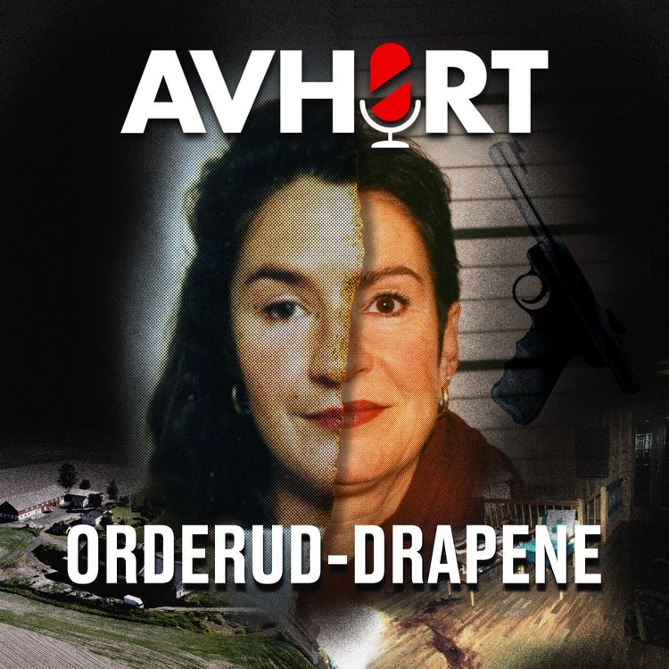 cover art for Orderud-drapene del 1