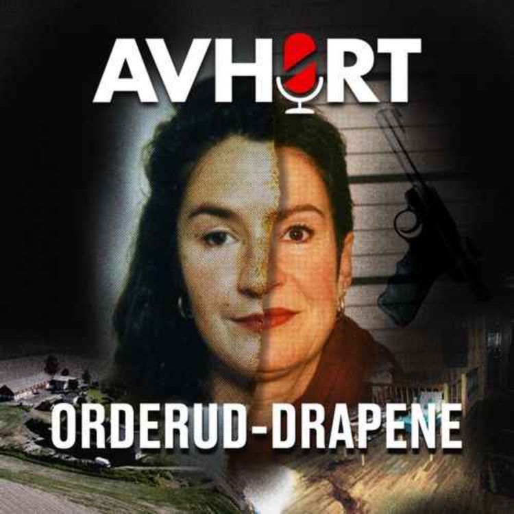 cover art for Orderud-drapene del 2