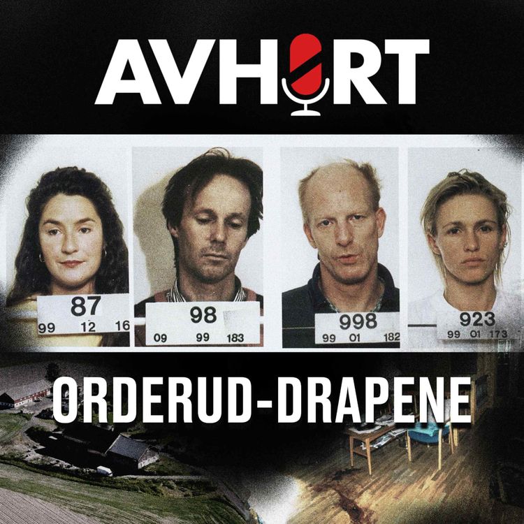 cover art for Orderud-drapene del 3