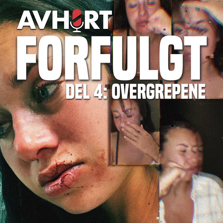 cover art for Forfulgt Del 4: Overgrepene