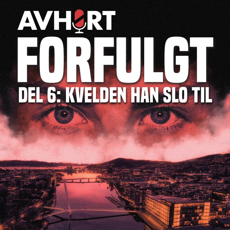 cover art for Forfulgt Del 6: Kvelden han slo til