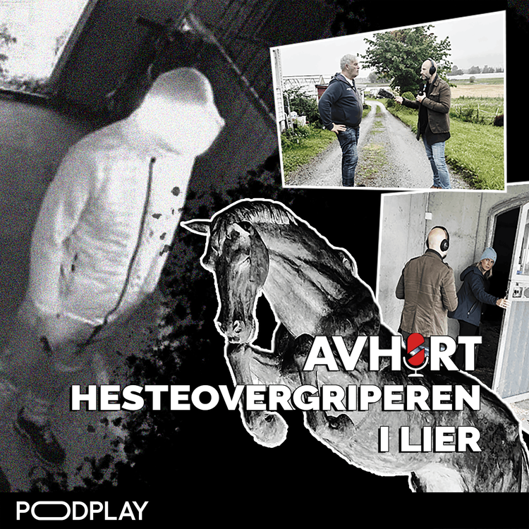 cover art for Hesteovergriperen i Lier Del 1