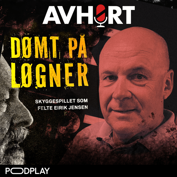 cover art for Per Asle Rustad: "Dømt på løgner" Del 1