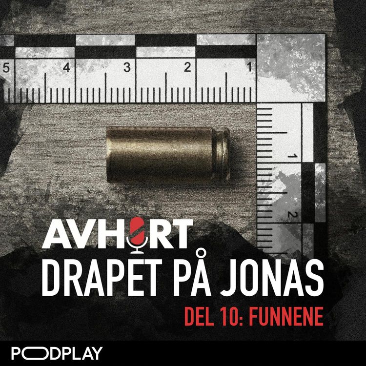 cover art for Drapet på Jonas Del 10: Funnene