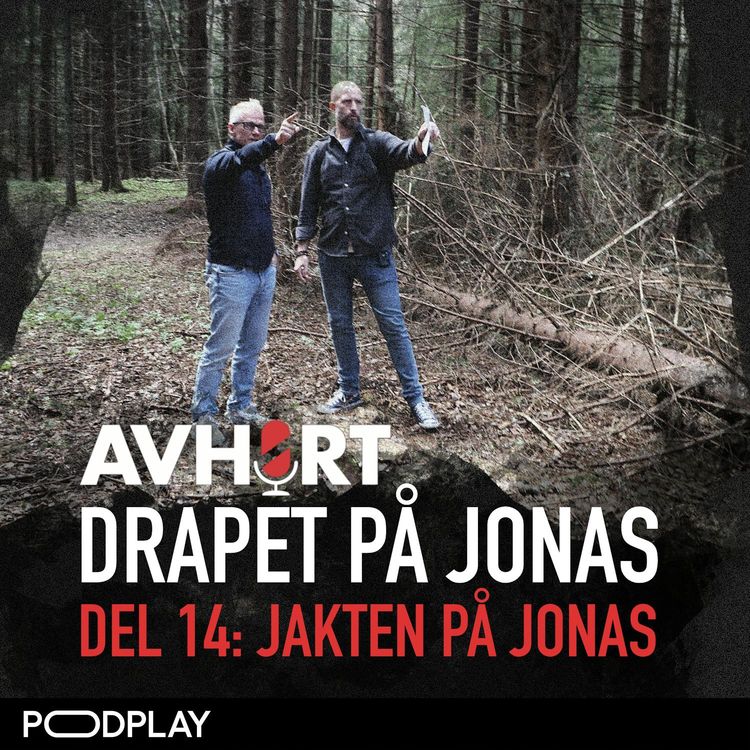 cover art for Drapet på Jonas Del 14: Jakten på Jonas