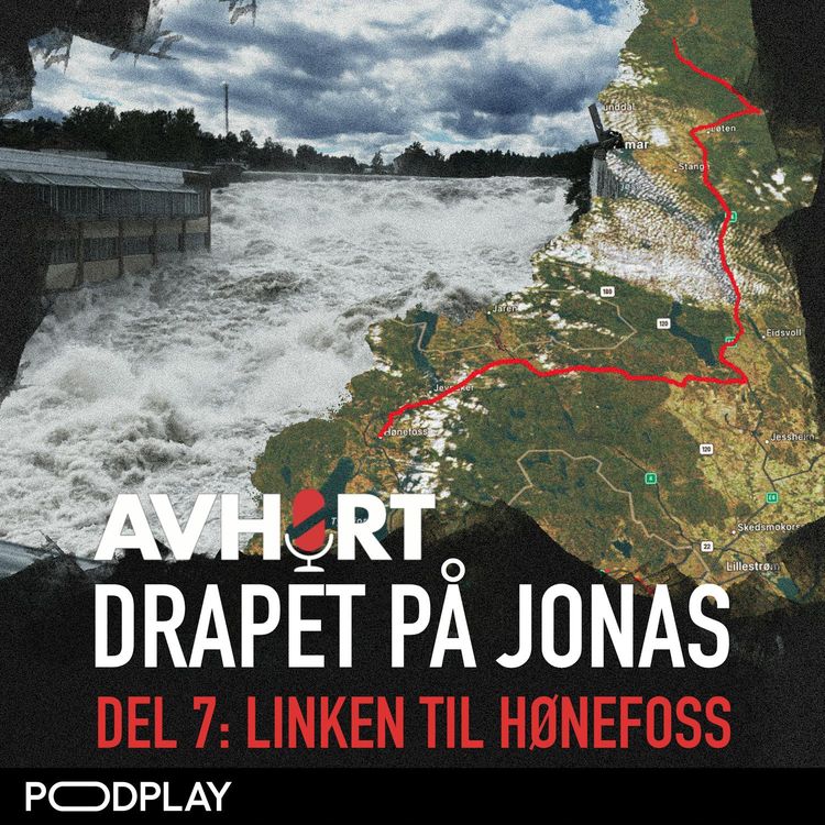 cover art for Drapet på Jonas Del 7: Linken til Hønefoss