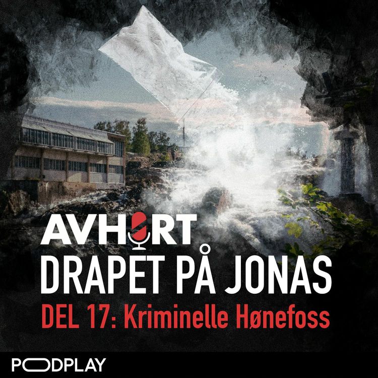 cover art for Drapet på Jonas Del 17: Kriminelle Hønefoss