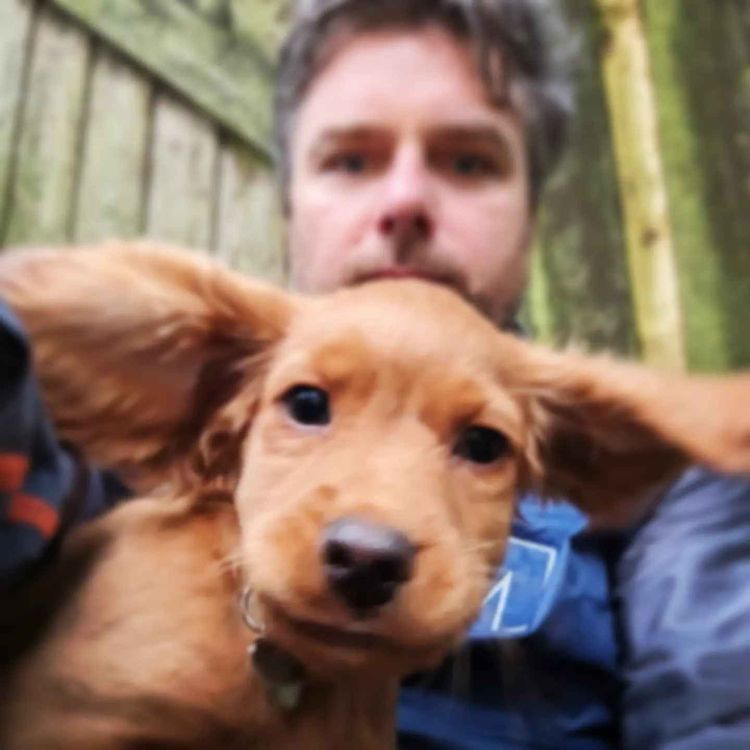 cover art for #0027 - Matthew S