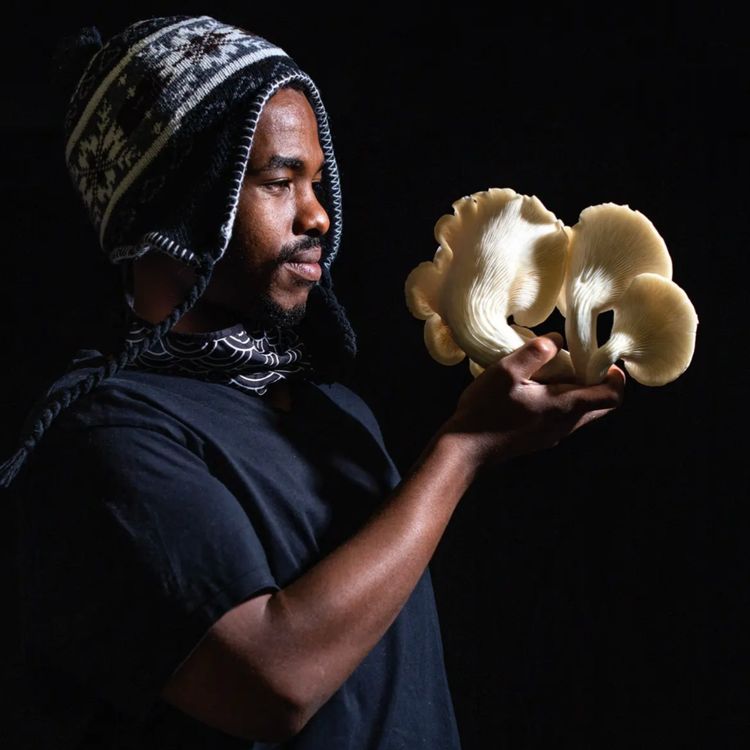 cover art for #0069 - Mongezi M