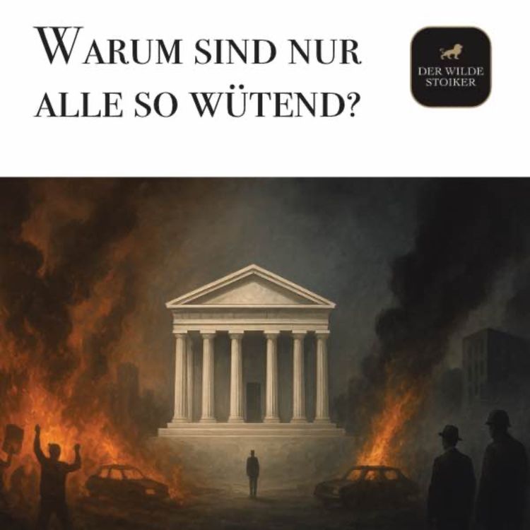 cover art for Warum sind nur alle so wütend?