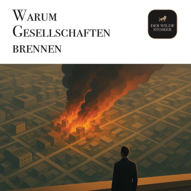 cover art for Warum Gesellschaften brennen