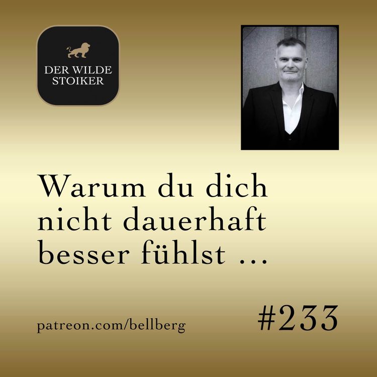cover art for Warum du dich nicht dauerhaft besser fühlst …