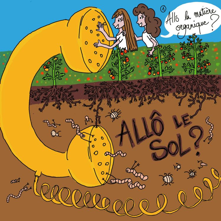 cover art for #1 - Nourrir et habiller les sols, à quoi ça sert ?