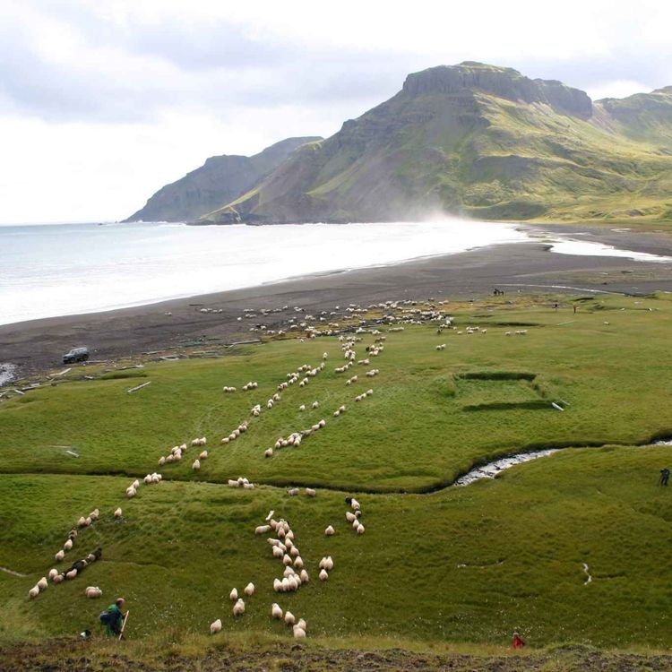 cover art for Víkur