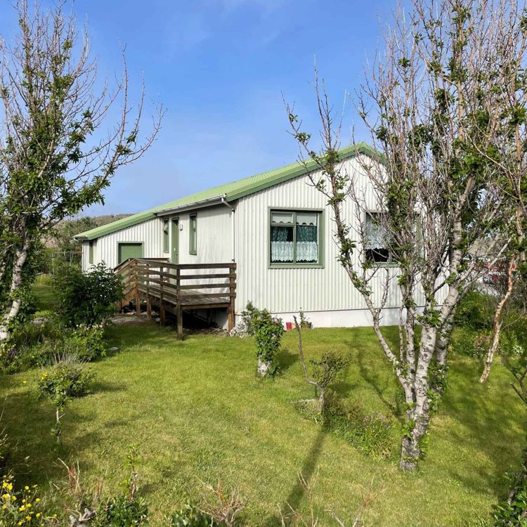 cover art for Húsin á Djúpavogi