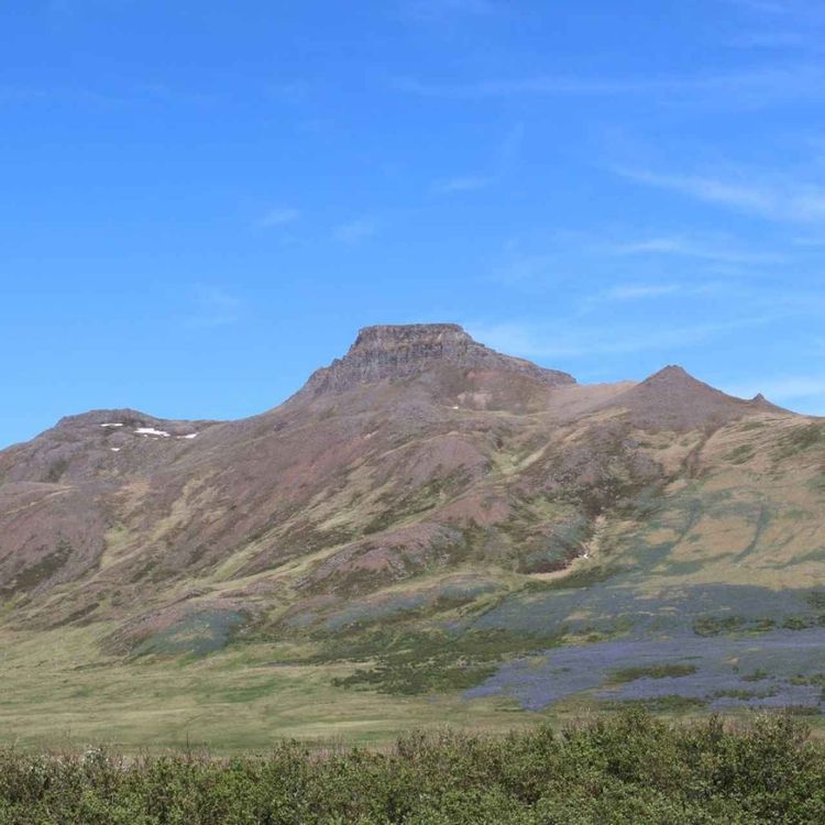 cover art for Spákonufell