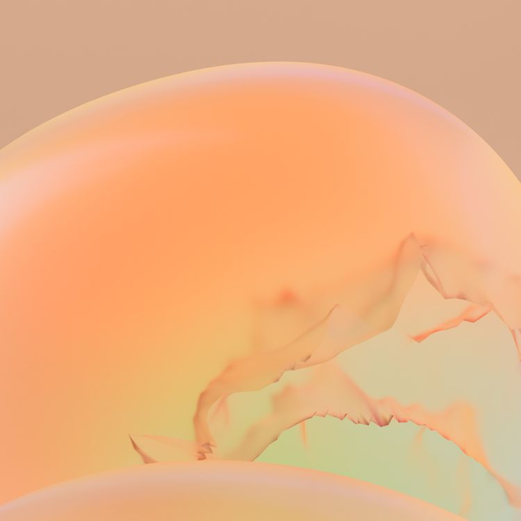 cover art for Complotdenken