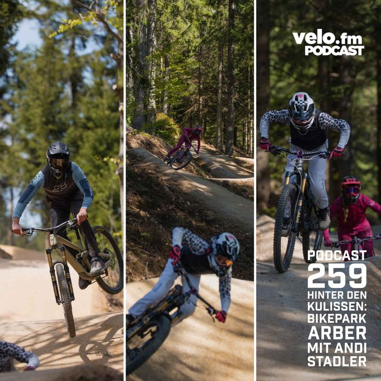 cover art for Folge 259: Hinter den Kulissen des Bikepark Arber mit Andi Stadler