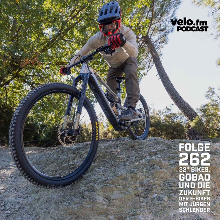 cover art for Folge 262: 32" Bikes, Gobao und die Zukunft der E-Bikes mit Jürgen Schlender