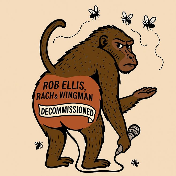 cover art for Flies Don't Get The Respect That They Deserve 