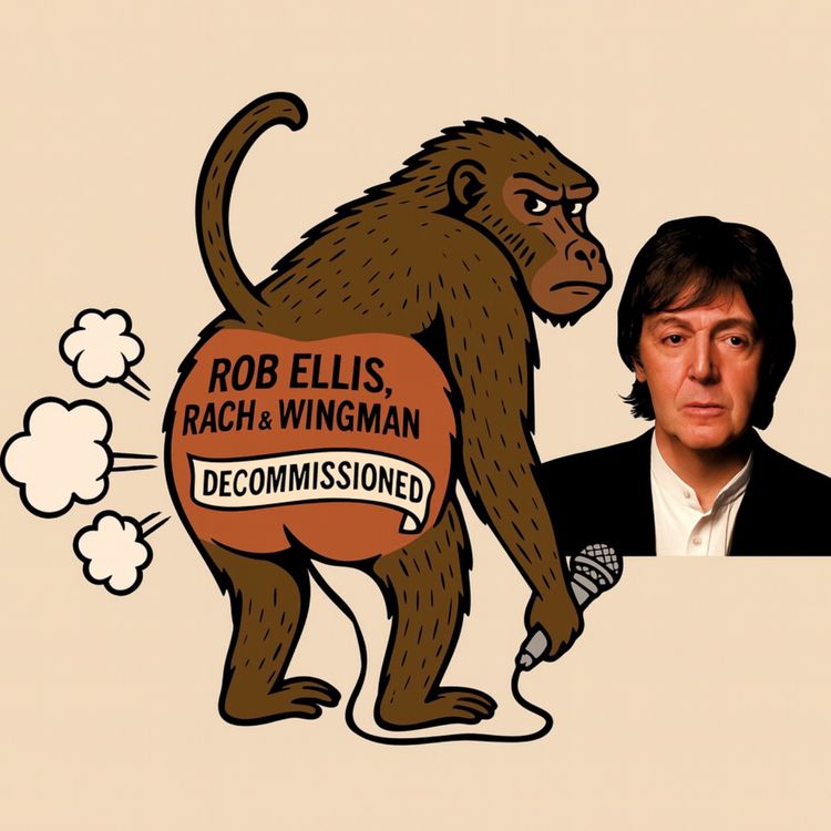 cover art for Decommissioned - Meteorites & Ass holes part 2 