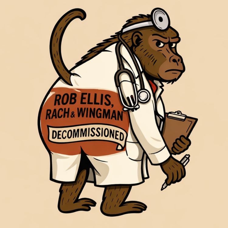 cover art for Decommissioned - Health Advice Off Bez