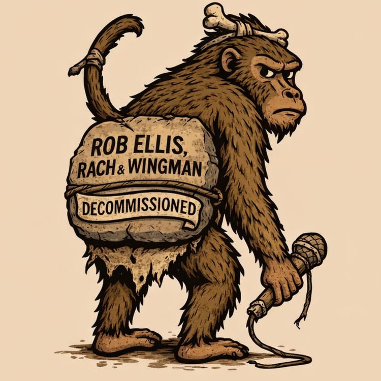 cover art for Decommissioned - Wild Shit 