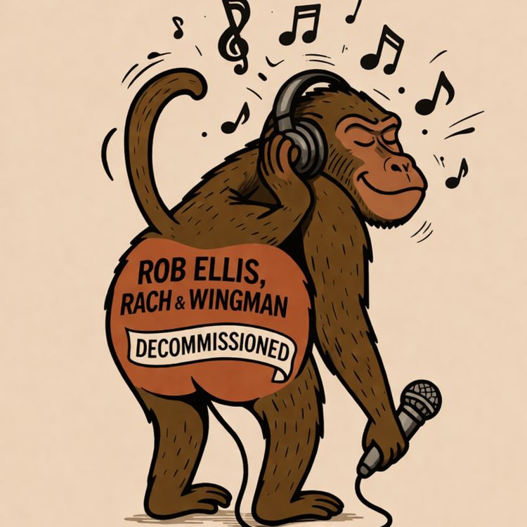 cover art for Decommissioned - THE TUNES