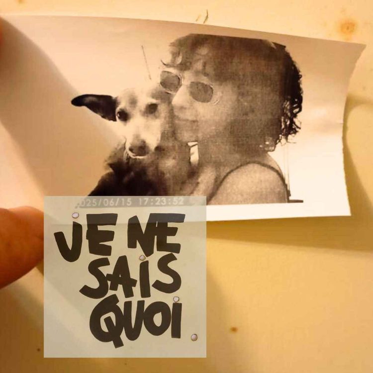 cover art for Encontros inestimáveis