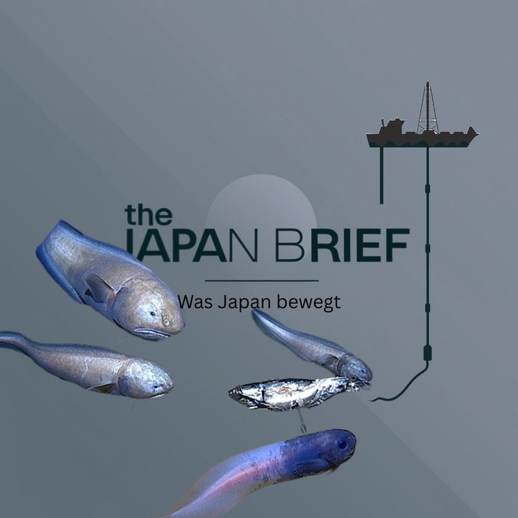 cover art for Tiefseebergbau von Seltenen Erden in Japan