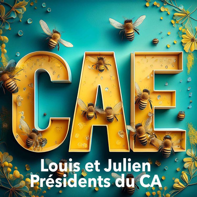 cover art for CAE : de la création d'une activité à la présidence d'un Conseil d'Administration