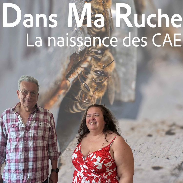 cover art for La naissance des CAE