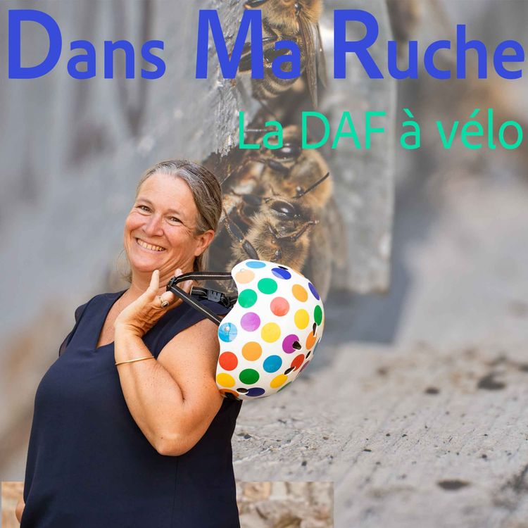 cover art for La DAF à Vélo