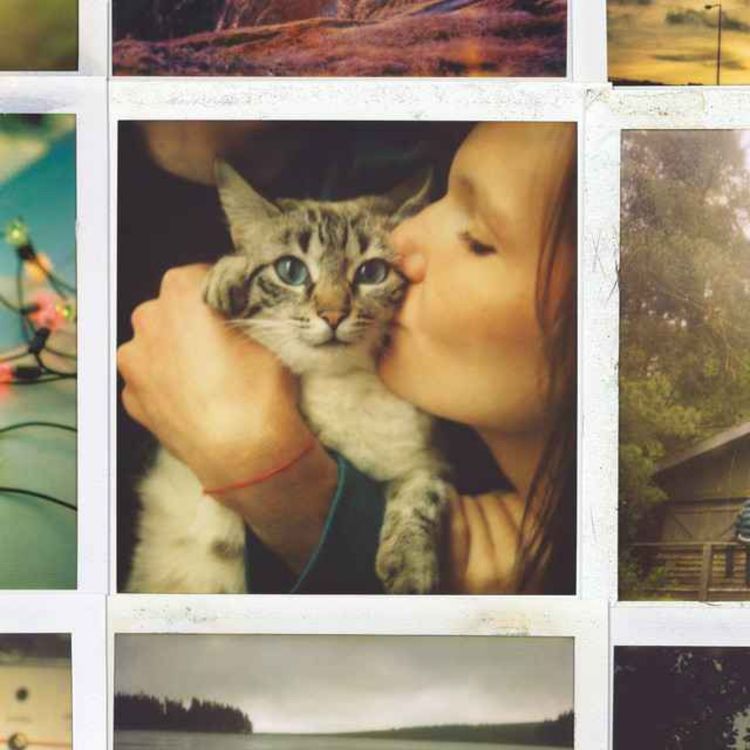 cover art for Vol de Nuit 3