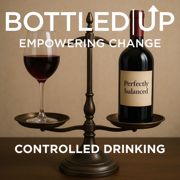 cover art for Controlled Drinking - can it work?