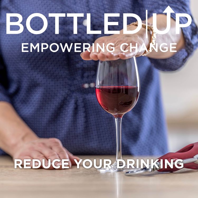 cover art for How to reduce your drinking