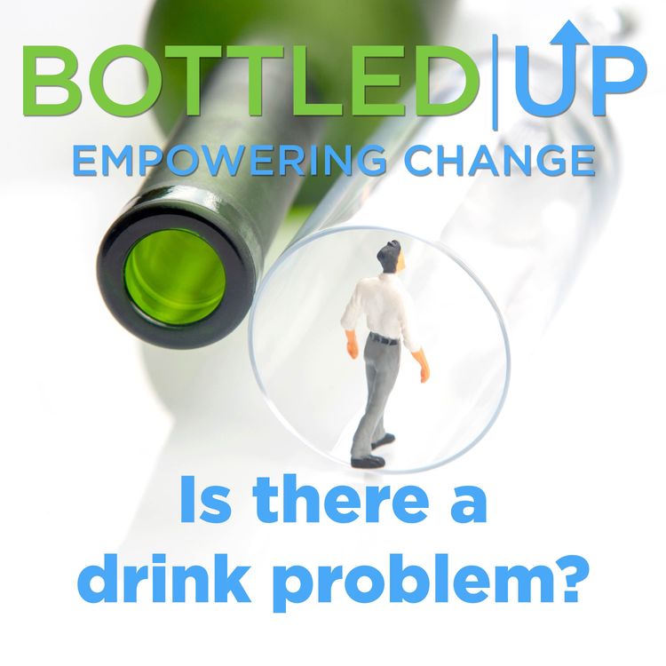 cover art for Is there a problem with alcohol?