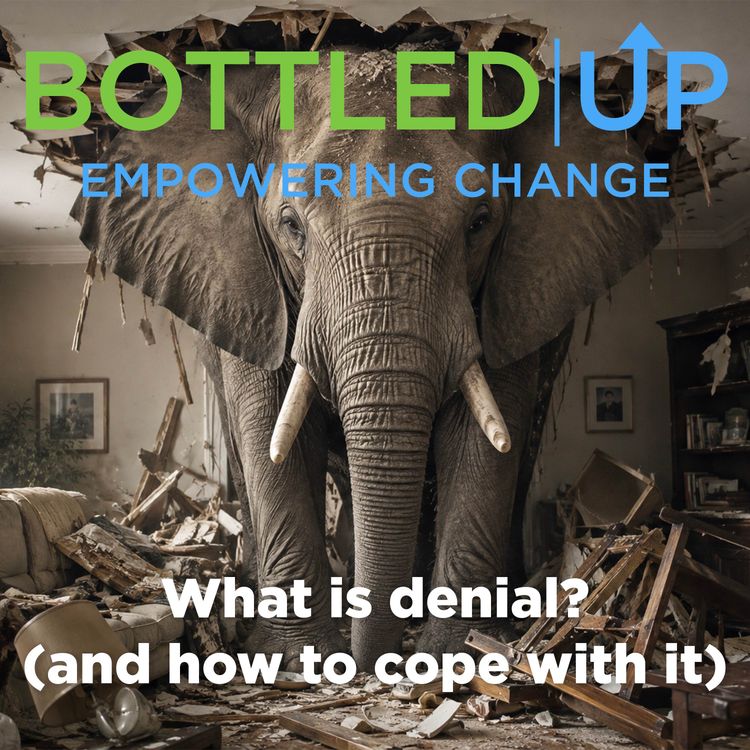 cover art for The Elephant In The Room (AKA denial)
