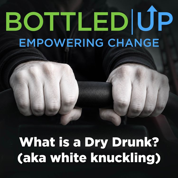cover art for What is a Dry Drunk? (aka white knuckling)