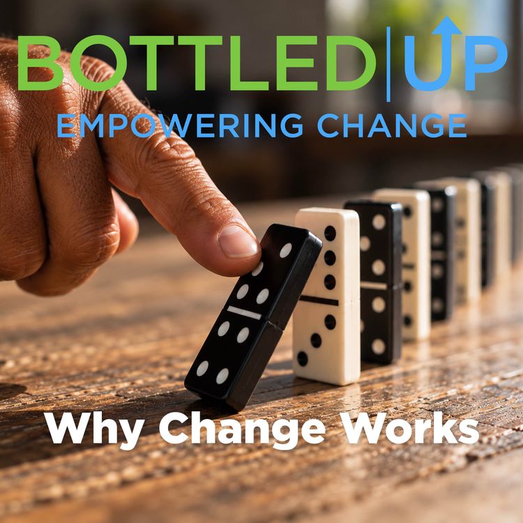 cover art for Why Change Works