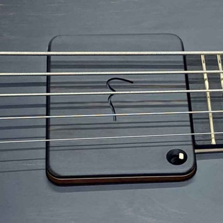 cover art for Meeting with Luthier Christian Olsson from Unicorn Bass #2