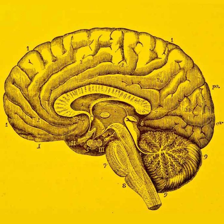 cover art for 194: Food for Thought pt. 3