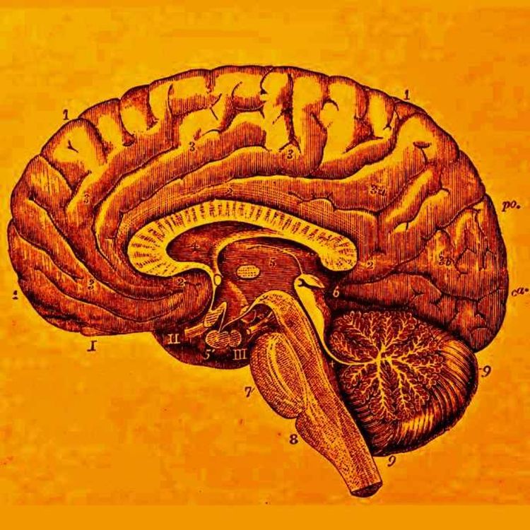 cover art for 195: Food for Thought pt. 4