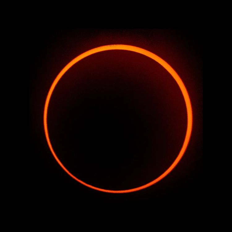 cover art for 202: Total Eclipse