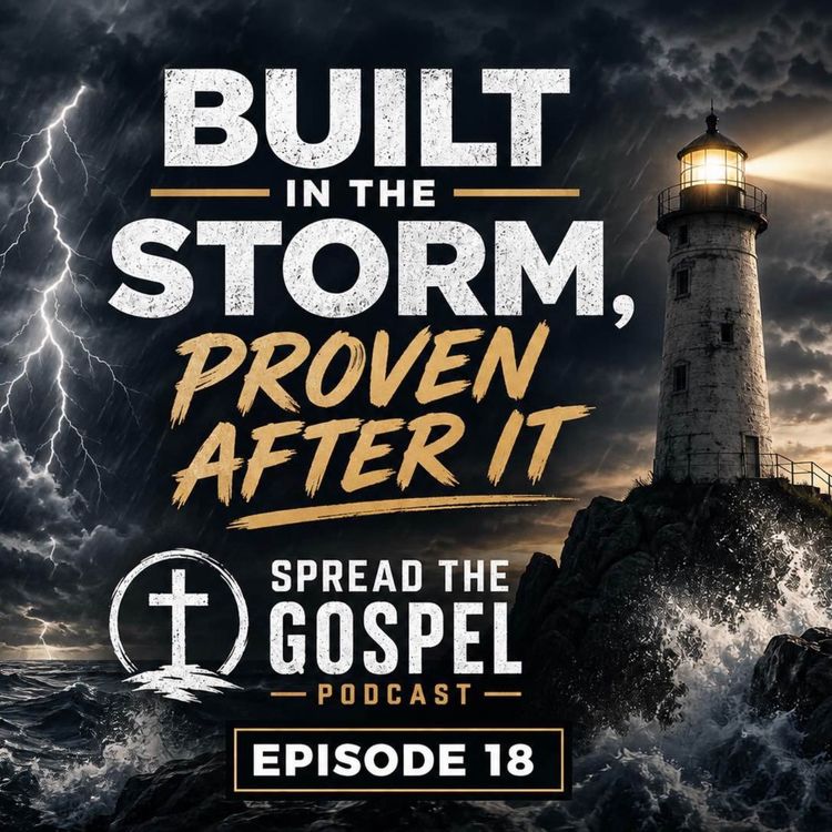 cover art for Built in the Storm,Proven after it!