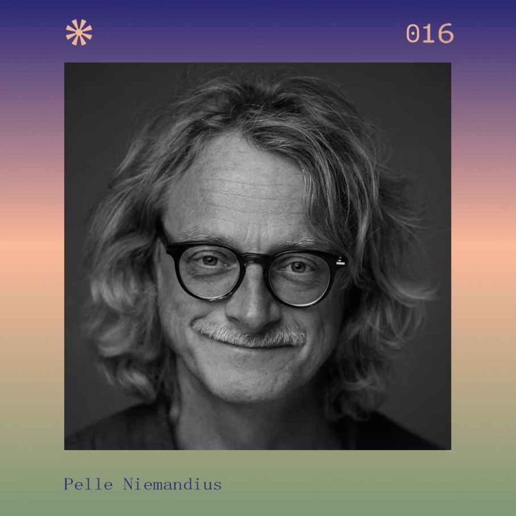 cover art for Hur hittar man mening? - Med Pelle Niemandius